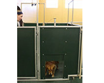 dog day care cable lifted door