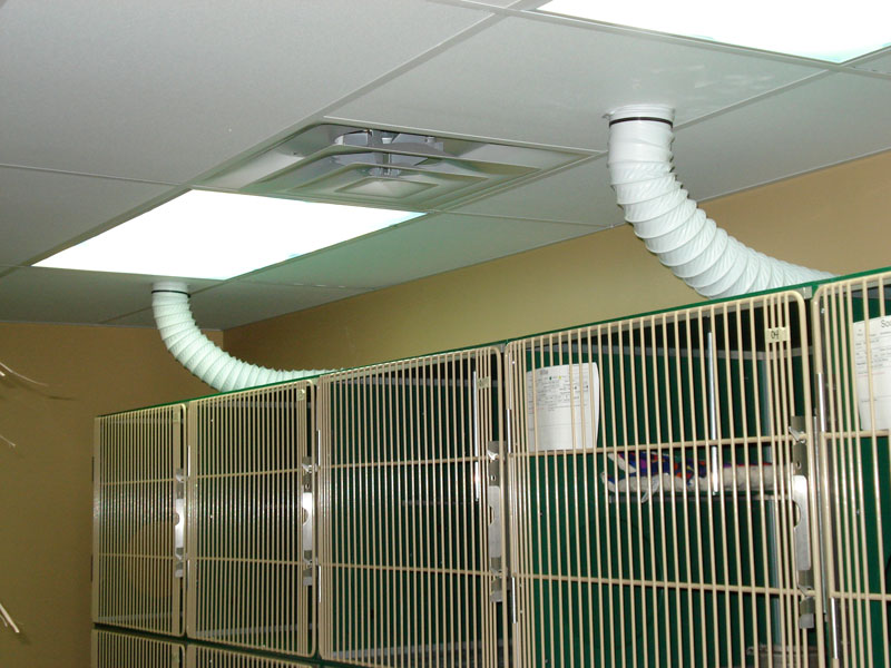 Ventilation Requirements For Dog Kennels at Eldridge McDaniel blog